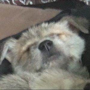 Meet your Posher, Zack